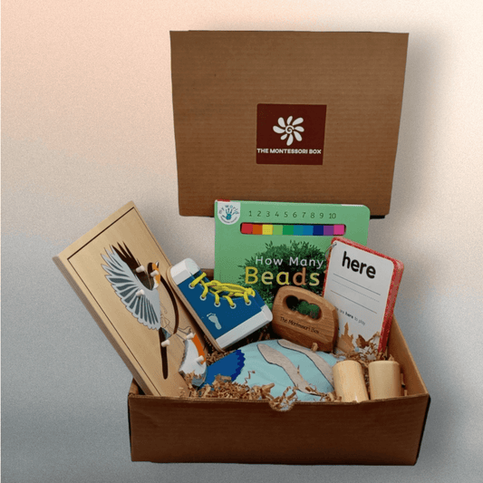 Milestones Box Play Kit – 24 months to 3 years| Montessori Box - themontessoribox